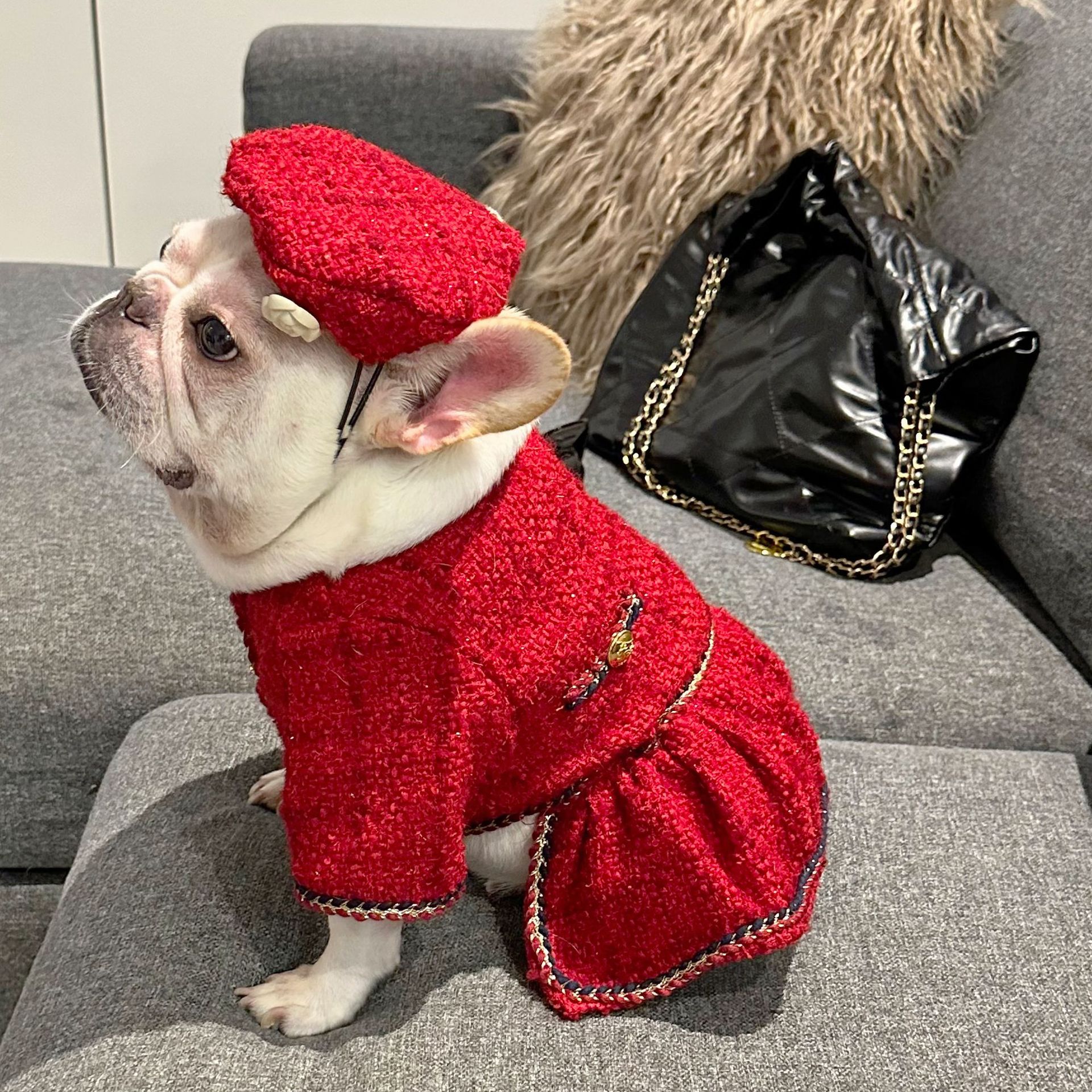 Luxury Pet Fashion Statement